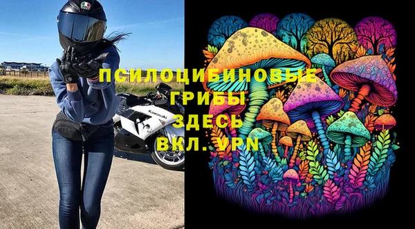 сатива Алексеевка