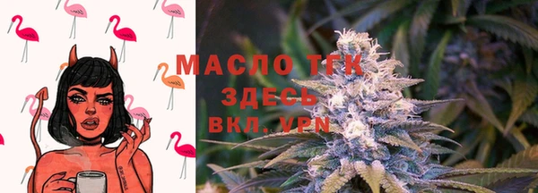 сатива Алексеевка